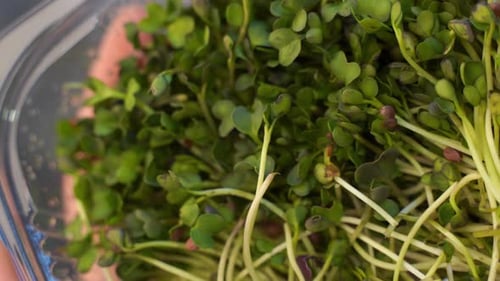 Bol Microgreens sur fond de marbre blanc. Concept de superaliments
