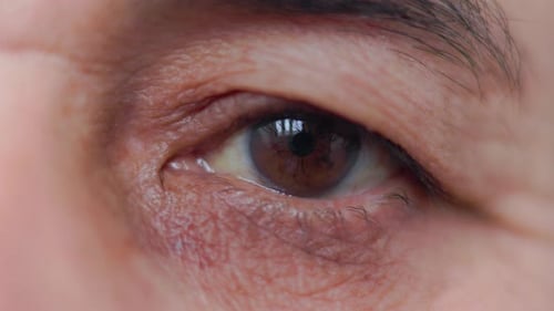 Extreme Close Up of a Brown Eye