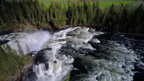 Aerial View of Waterfall Surrounded by Green Forest