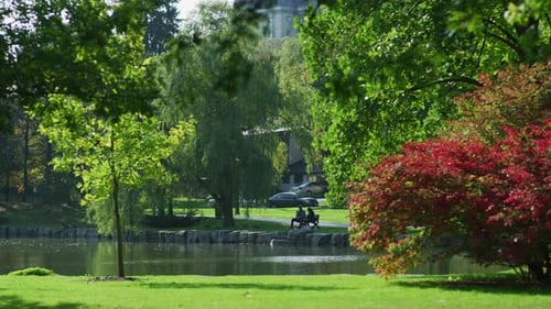 Sitting on a bench next to a pond