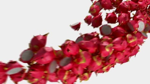 Bright Pink Dragon Fruit Abstractly Fills the Frame