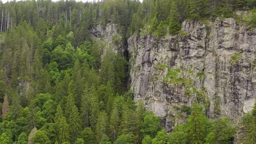 Luftaufnahme am See in Richtung grünen Wald und felsigen Klippen