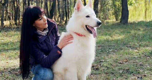 Happy Female Cheerfully Playing and Sitting with Dog in the Autumn Park. Love and Friendship with