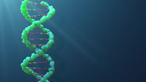 Animated DNA Double Helix Rotating for Science and Medical Projects