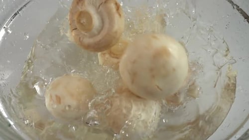 Cogumelos Agaricus caindo em uma tigela de vidro com água. Câmera lenta.