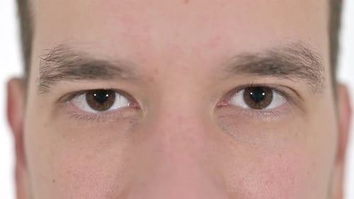 Close Up of Blinking Eyes of Young Man Looking at the Camera , White Background
