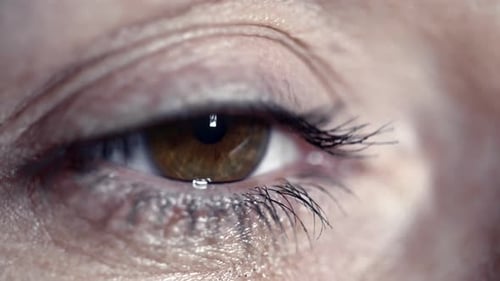 Blinking Female Eye