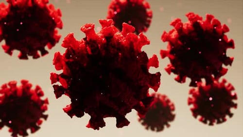 3D Red Virus Particles Rotating Loop Animation