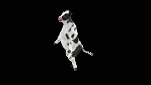 Funny 3D Animated Dancing Cow Loop