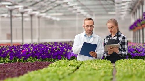 Scientists Analyzing Plants in Greenhouse with Tablet and Clipboard