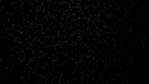 Floating White Bokeh Particles on Black Background