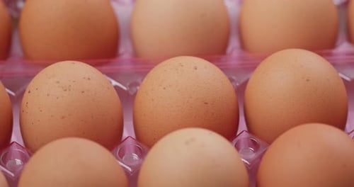 Paquet d'œufs de poule