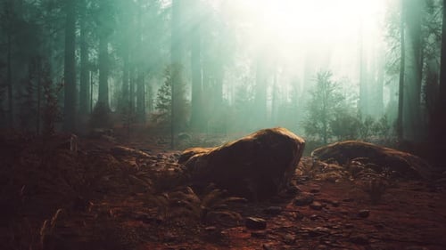 Floresta mágica profunda de conto de fadas misterioso