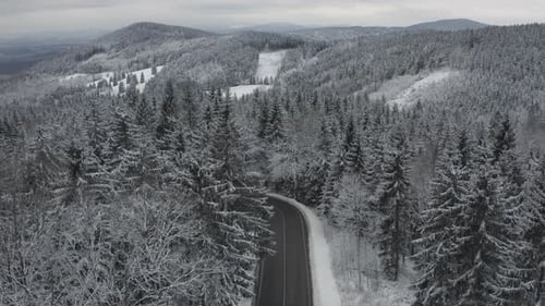 Panoramic View on the Wide Road Top of High Pine Trees and Mountains Covered with Snow in Winter
