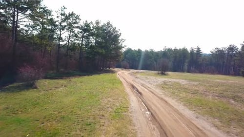 Aerial Drone View Over Road in Coniferous Forest