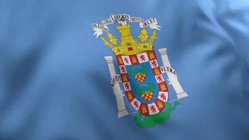 Waving Flag with Ornate Coat of Arms Loop Animation
