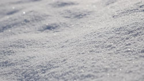 Sparkling Snow in Winter Sunlight