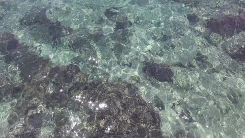 Sea Surface Ripple at Sunlight with Transparent Clear Water and Visible Sandy Bottom with Underwater