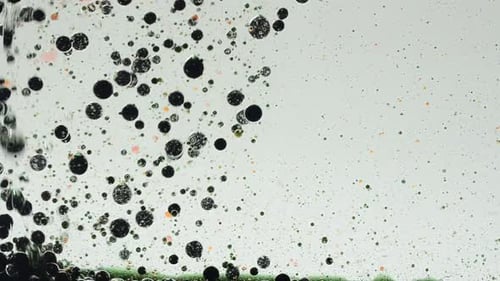 Background from Bubbles 12