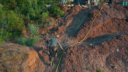 Farmer After Working on the Plantation Aerial View