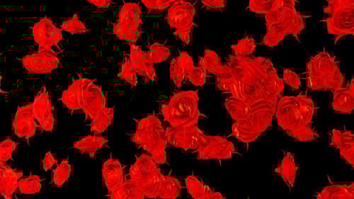 Beautiful Animated Red Roses Falling with Alpha Channel