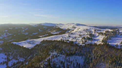 High Snowy Mountain Covered with Evergreen Fir Trees on a Sunny Cold Day