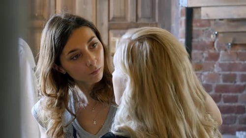 Makeup Artist Applying Cosmetics to a Woman's Hair