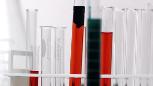 Laboratory Test Tubes with Colorful Liquids in Rack