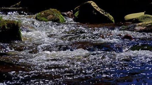 Nahaufnahme eines Flusses zwischen Steinen im Wald - Detail des fließenden Wassers
