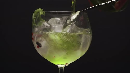 Iced Gin Fizzy Cocktail