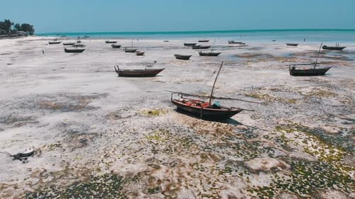 Lot of Fishing Boats Stuck in Sand Off Coast at Low Tide Zanzibar Aerial View