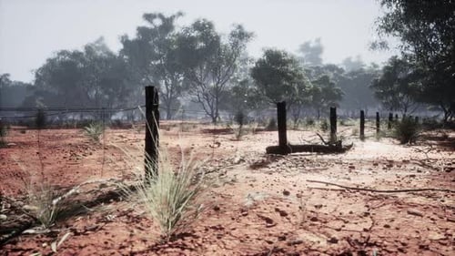 Barbed Wire Fence in Arid Landscape Camera Dolly Shot