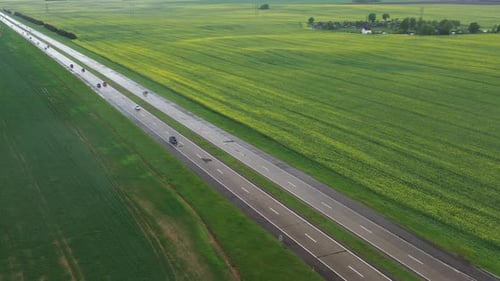 Top View of the Sown Green in Belarus