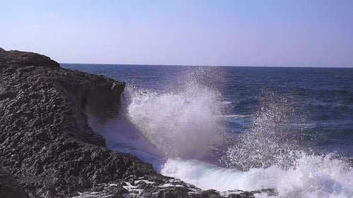 Sea