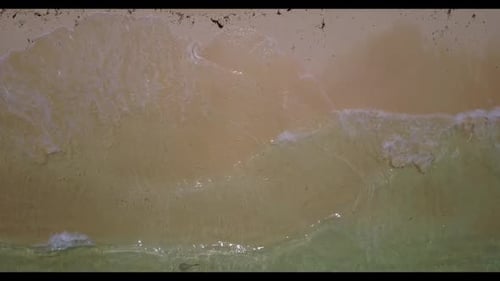 Aerial flying over sky of beautiful island beach wildlife by blue ocean and white sandy background o