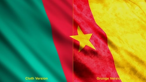 Cameroon Flags