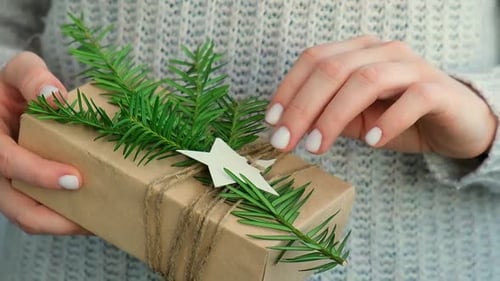 Woman Giving Box with New Year's Gifts Wrapped in Craft Paper and Decorated with Fir Branch