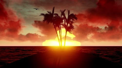 Palms on Small Island 5