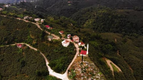Mountains Forest and Houses