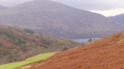 Revealing Shot of the Highlands and a River Through Trees