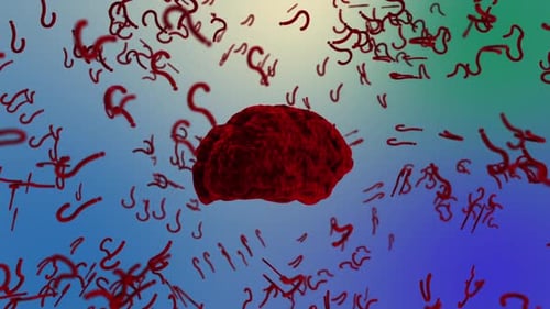 Quiz Background Loop