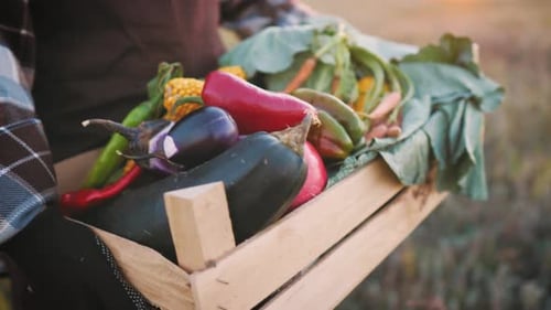 Fresh Vegetables in a Wooden Crate at Sunset