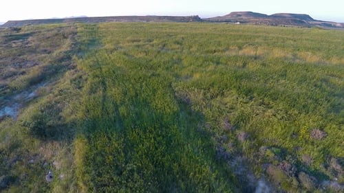 Top of Hills Covered in Lush Green Grass, Fresh Meadow for Pasture, Aerial Shot