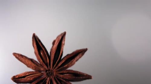 Star Anise Rotating Against a Clean White Background