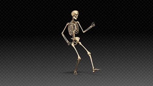 3D Animated Human Skeleton Dancing Loop