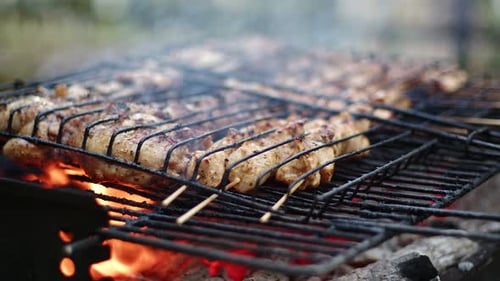 Delicious Chicken Meat On Barbecue Fire 6