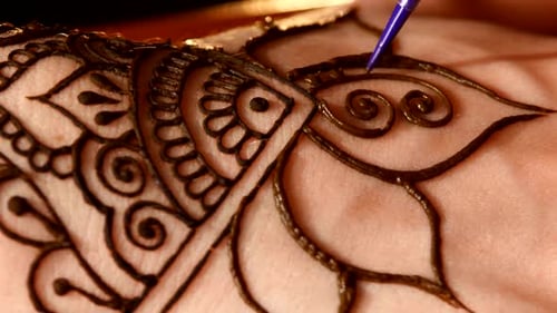 Mujer decorada a mano con un tatuaje de henna, Mehendi, en negro, de cerca, la cámara se mueve de arriba hacia abajo