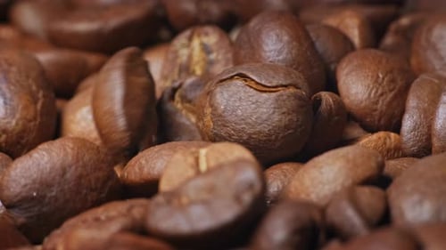 Pile of Coffee Beans Close Up