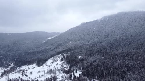 Vue aérienne par Drone de magnifiques paysages d'hiver dans les montagnes avec des pins couverts de neige
