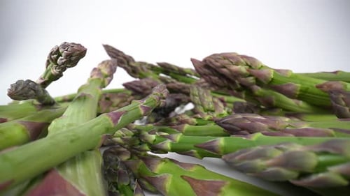 Asparagus 02